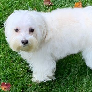 Meet your Posher, Zabi